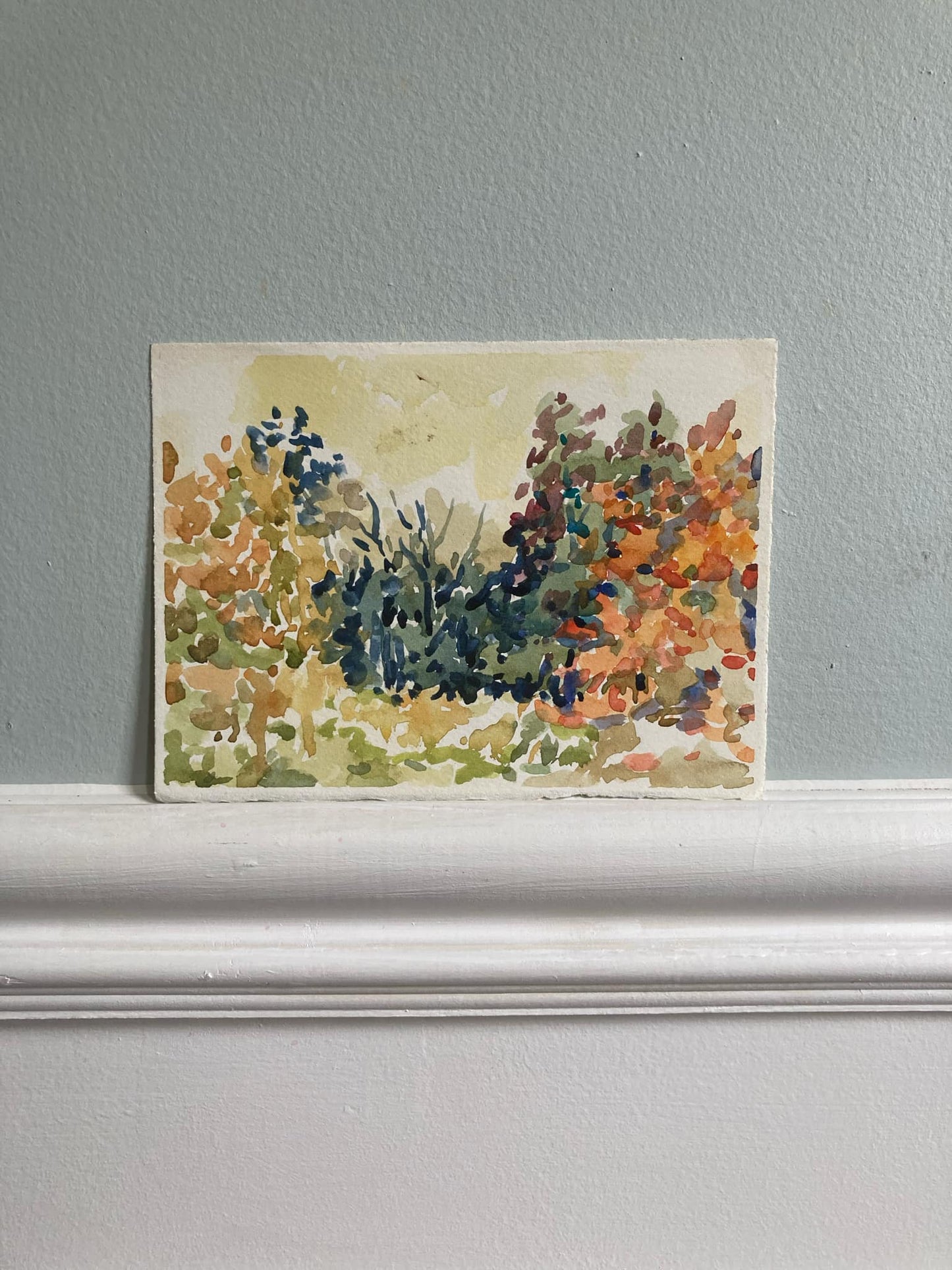 Bushes in Fall