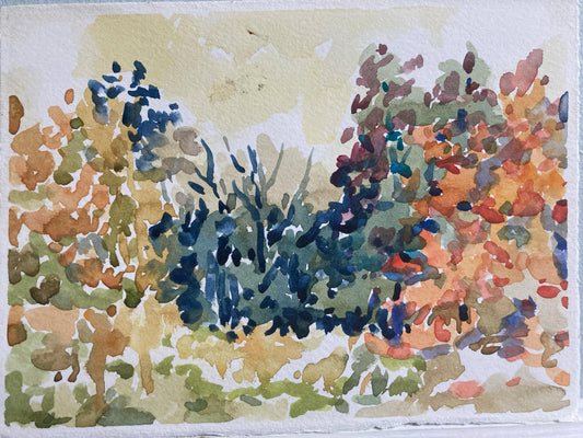 Bushes in Fall