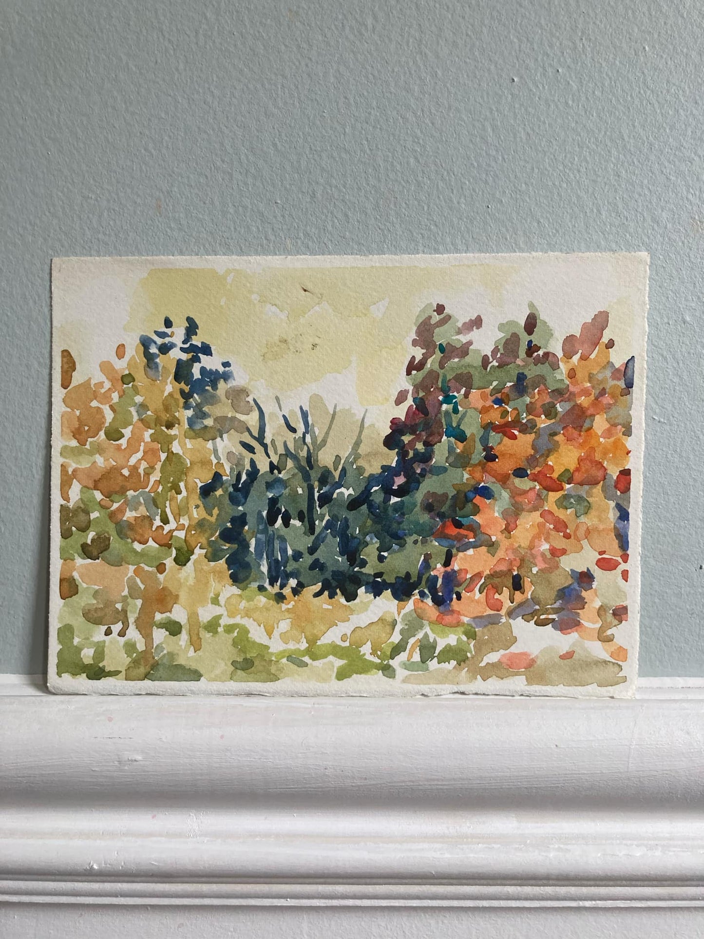 Bushes in Fall